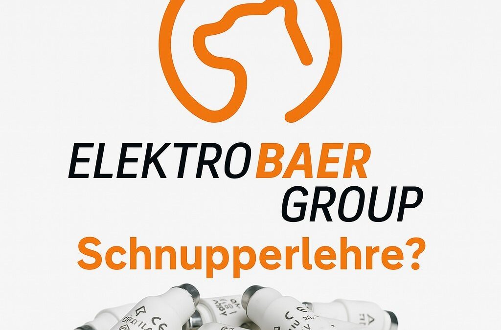 Lerne Montage-Elektriker/in EFZ