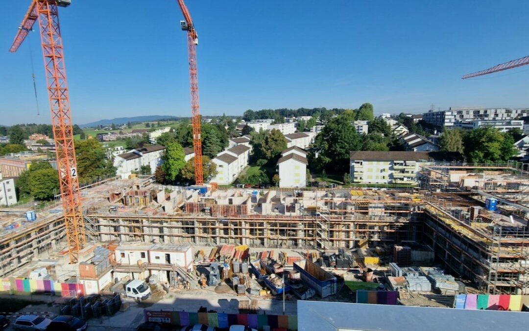 🏗️Update Neubau Birch Seebach II