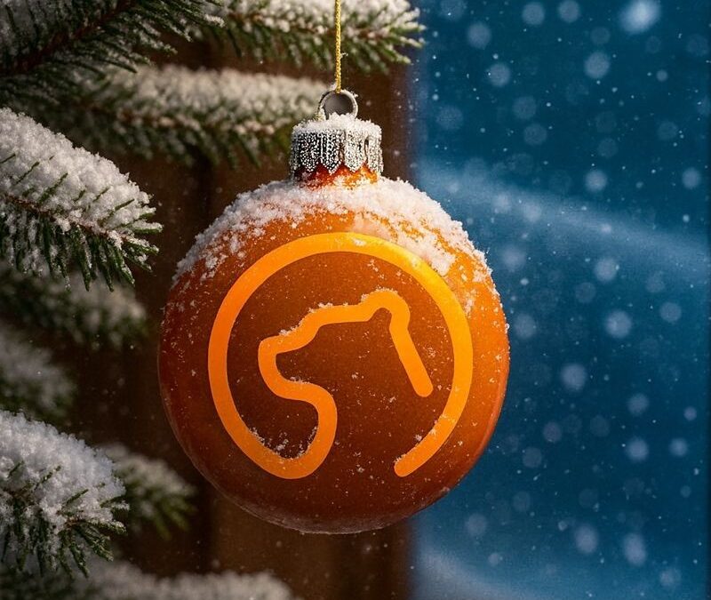 🎄✨ Frohe Weihnachten! ✨🎄